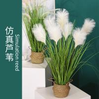 uploads/erp/collection/images/Home Garden/CongDing/XU0611242/img_b/XU0611242_img_b_2